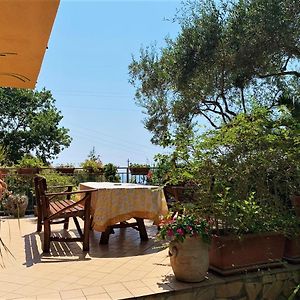 B&B dei Fiori